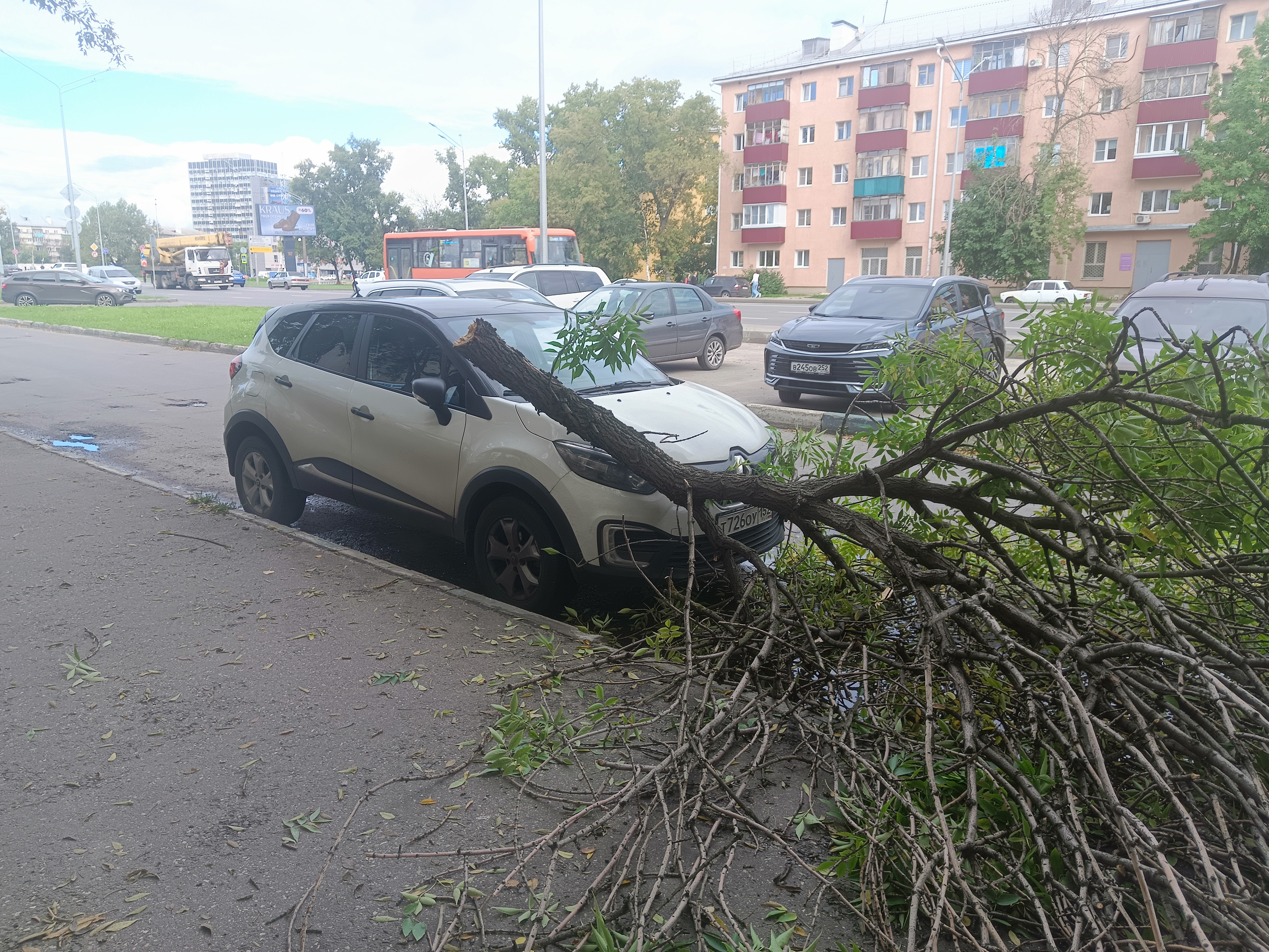 Фото пользователя