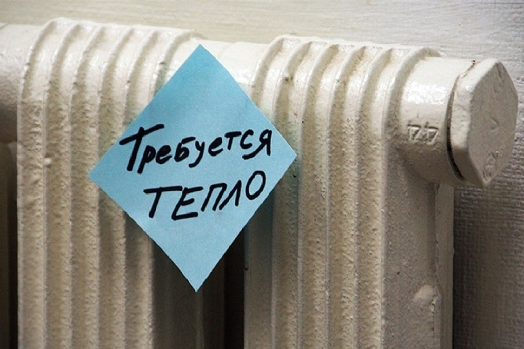 Фото пользователя